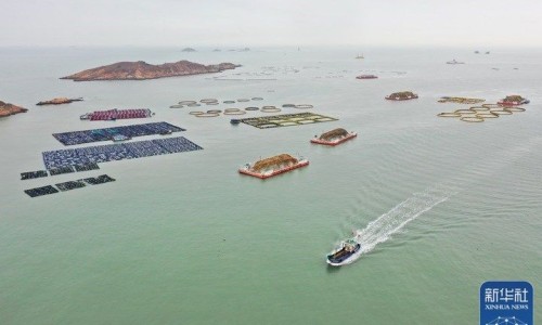 水凤仙图片-水仙有什么功效,中国水凤仙的功效网站