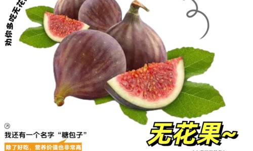 水凤仙花的养殖技术-水凤仙图片-水仙有什么功效,中国水凤仙的功效网站