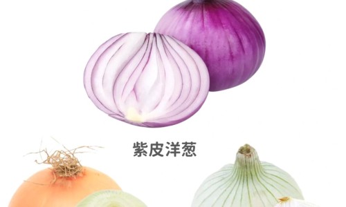 水凤仙花的养殖技术-水凤仙图片-水仙有什么功效,中国水凤仙的功效网站